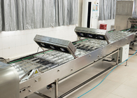 Automatic Marshalling Cooling Conveyor Machine Adjustable Speed