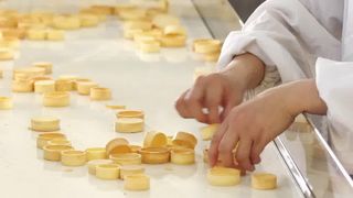 AUTOMATIC TART SHELL PRODUCTION LINE